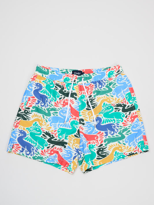 Ducks Print Drawstring Swimshorts, Multi