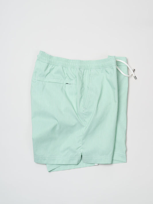Drawstring Swim Shorts, Green & White Stripe