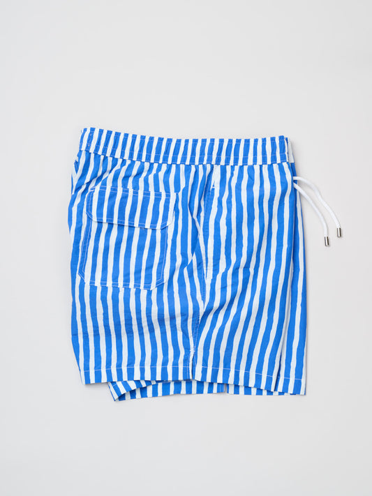 Nylon Drawstring Swim Shorts, Blue Stripe Print